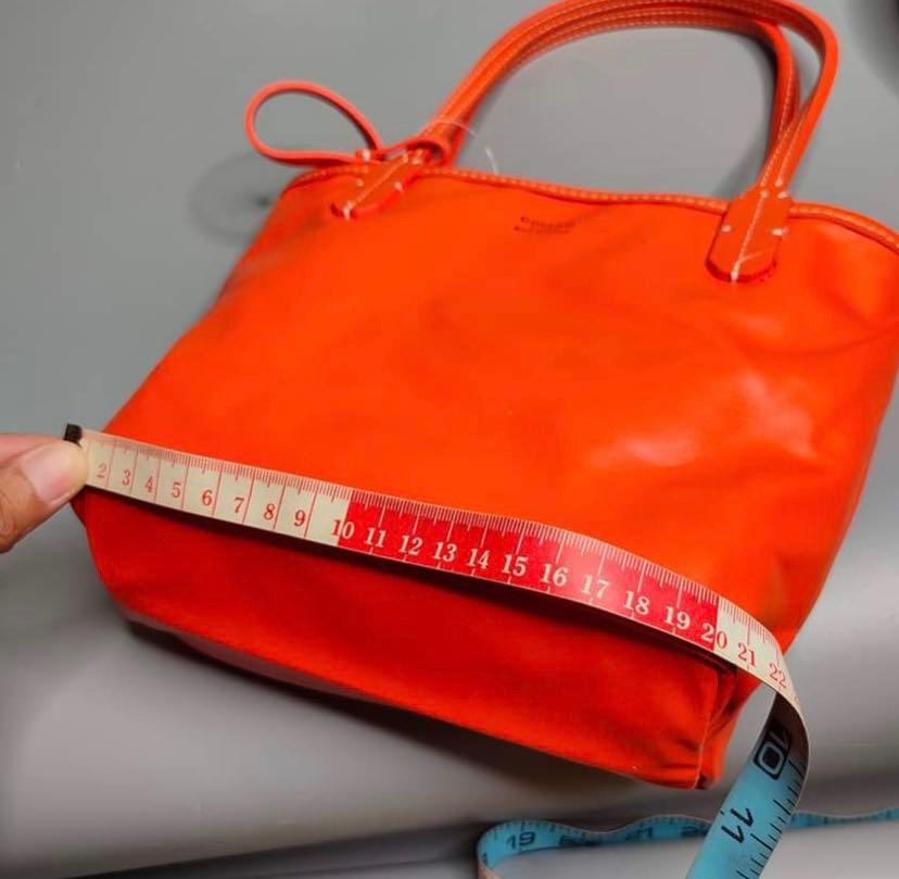 Goyard Mini Anjou Bag Orange SYCN1104 – LuxuryPromise