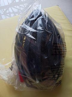 Schwinn Helmet Black Bike Helmet