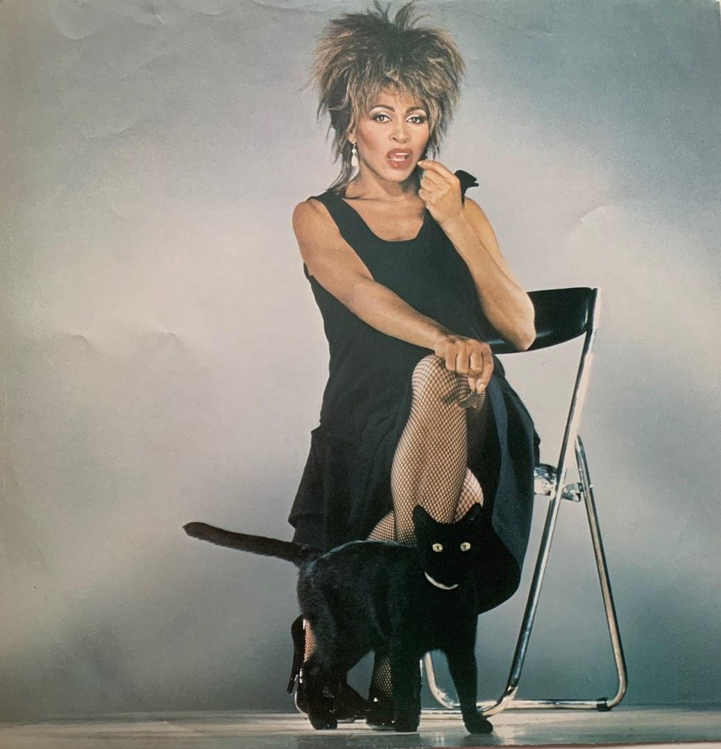 Tina Turner - Vinyl Record LP, Hobbies & Toys, Music & Media, Vinyls on ...