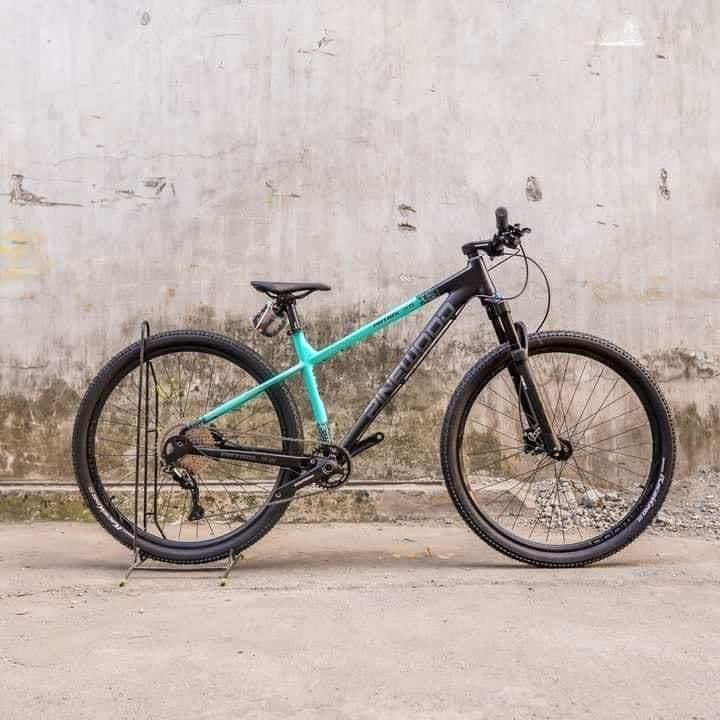 Pinewood patrol 29er 2025