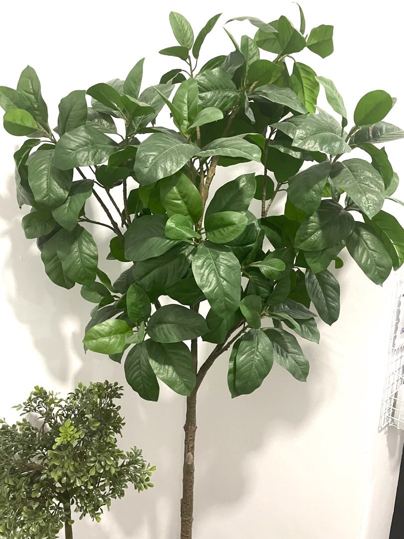 2X IKEA Artificial Tree+ Spotlight Tree, Furniture & Home Living, Home ...