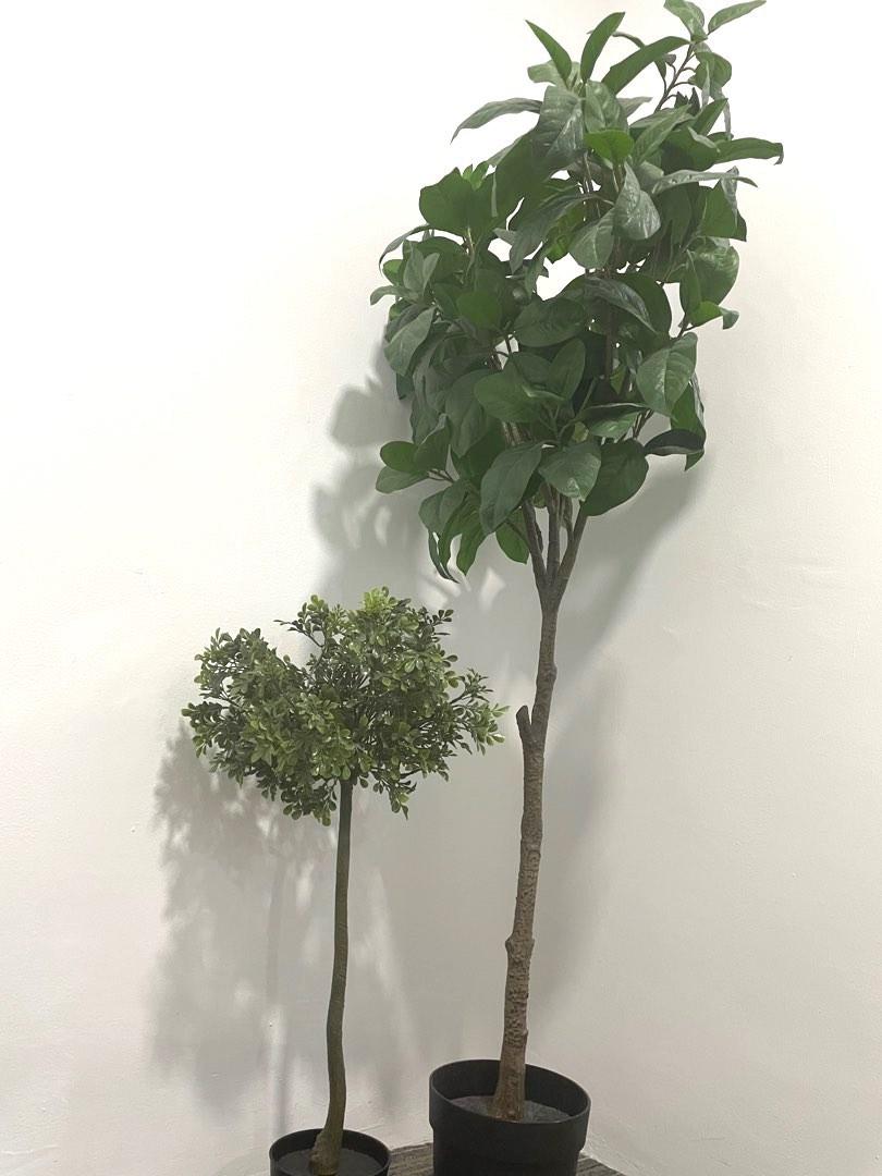 2X IKEA Artificial Tree+ Spotlight Tree, Furniture & Home Living, Home ...