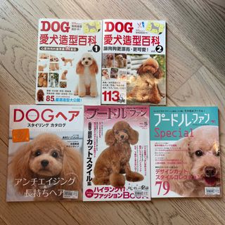 （分類：）位於 。 由 appledeee 提交（商品編號 1183124967，圖片 1）。簡介： 。