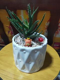 (Category: ) located in . Submitted by neng8168 (Listing ID 1183273187, Image 1). Description: .