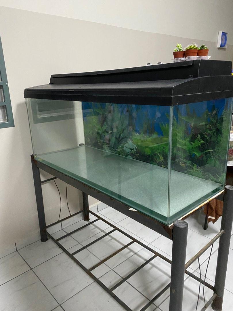 4ft aquarium shop