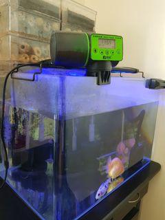 Aquascape, Aquarium, Curve Clear Glass Tank