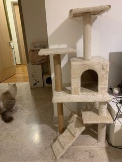 (Category: ) located in . Submitted by tarzan99986 (Listing ID 1183256992, Image 1). Description: .