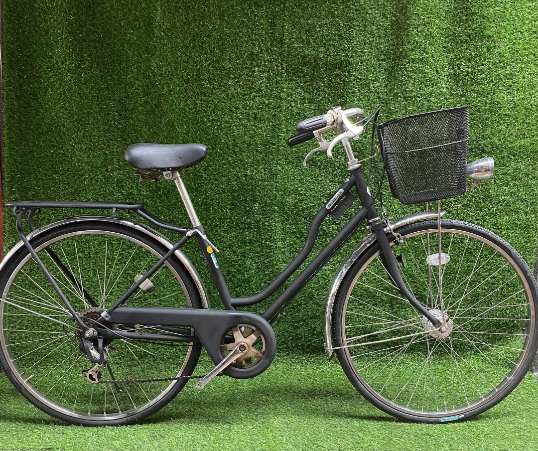 Bridgestone discount japanese bike
