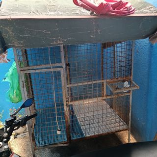 (Category: ) located in . Submitted by maritianne (Listing ID 1183142018, Image 1). Description: .