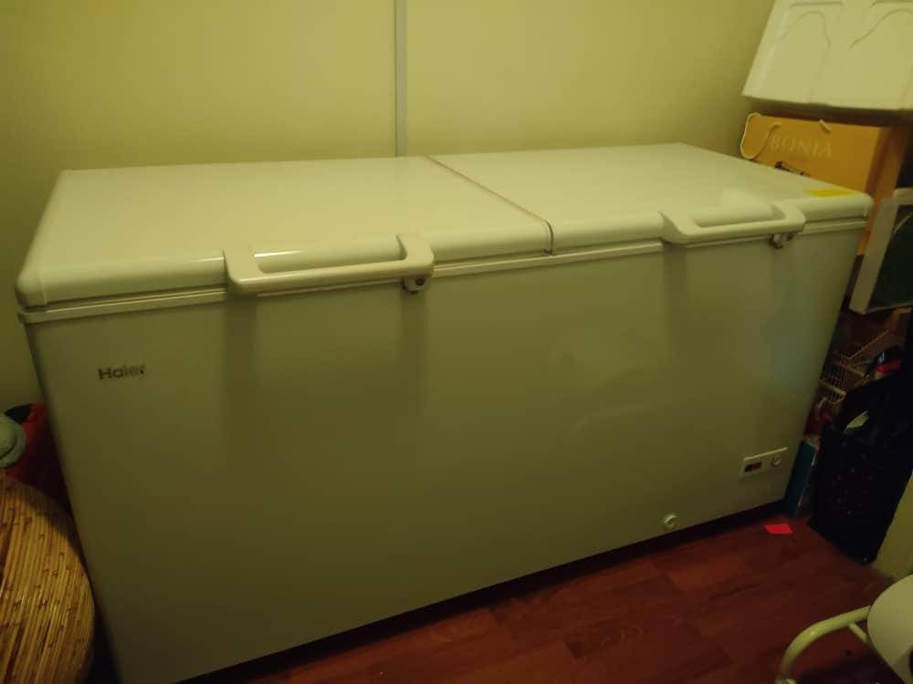 HAIER CHEST FREEZER BD568HP, TV & Home Appliances, Kitchen Appliances