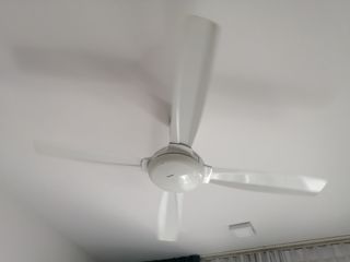 (Category: ) located in . Submitted by phmaya (Listing ID 1183220672, Image 1). Description: .