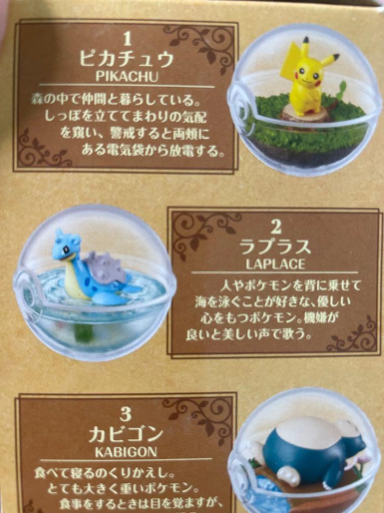 Pokémon Mystery Box Terrarium Collection (Lapras/Laplace), Hobbies