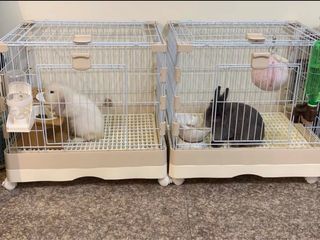 (Category: ) located in . Submitted by momoane (Listing ID 1183186772, Image 1). Description: .