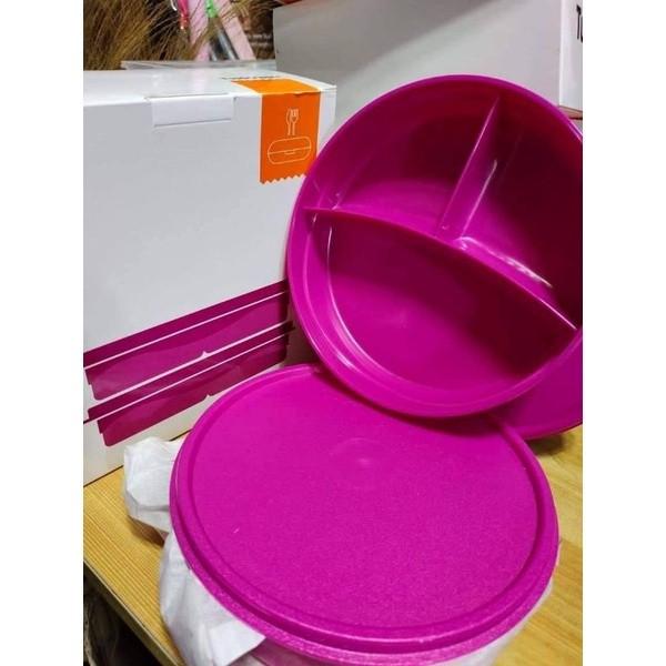 Tupperware Plastic Kids Divided Dish Lunch Box, Capacity: 350ml