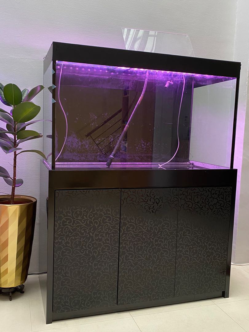 4 feet fish tank, Pet Supplies, Homes & Other Pet Accessories on Carousell