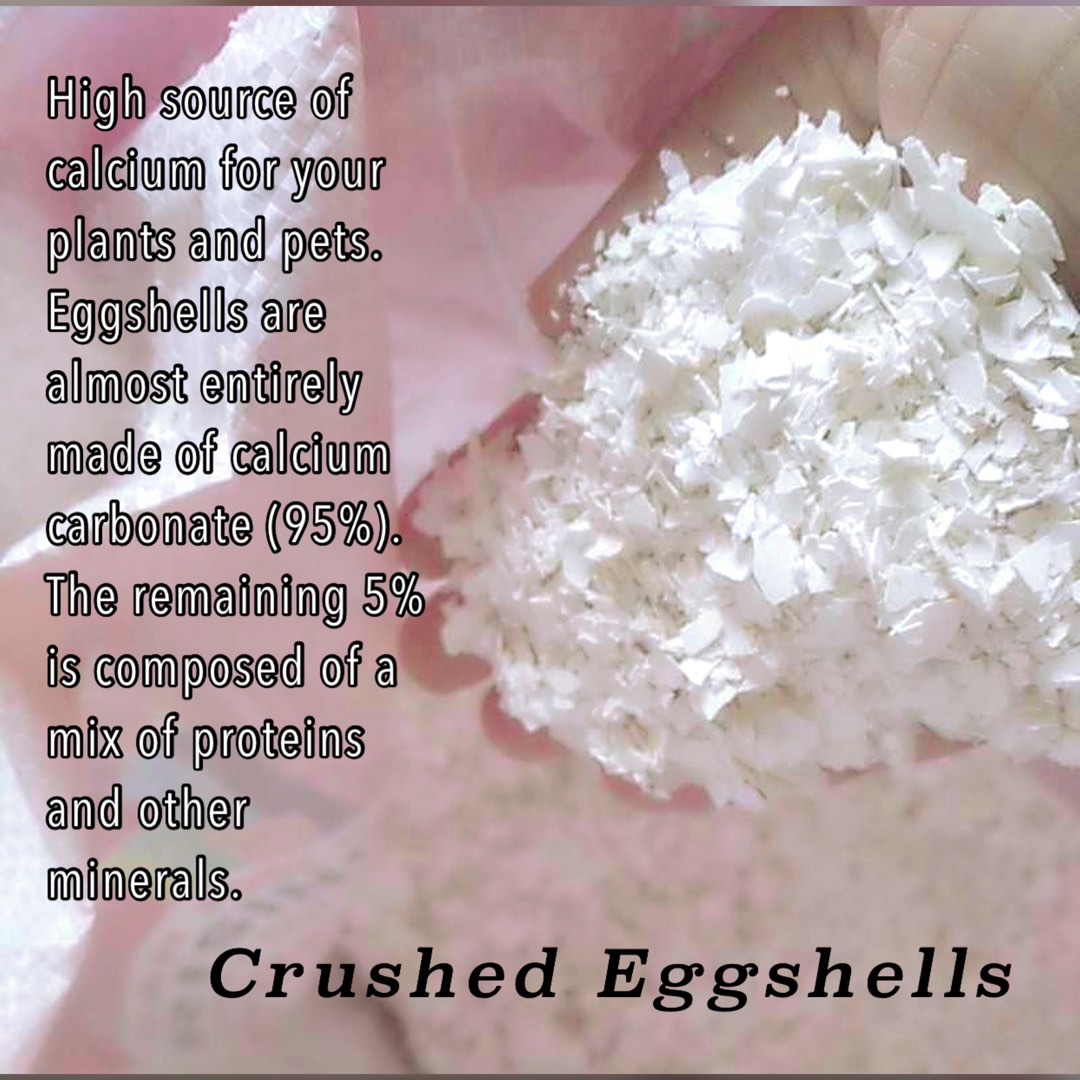 1kl Crushed Eggshells, Furniture & Home Living, Gardening, Soil & Fertilisers on Carousell