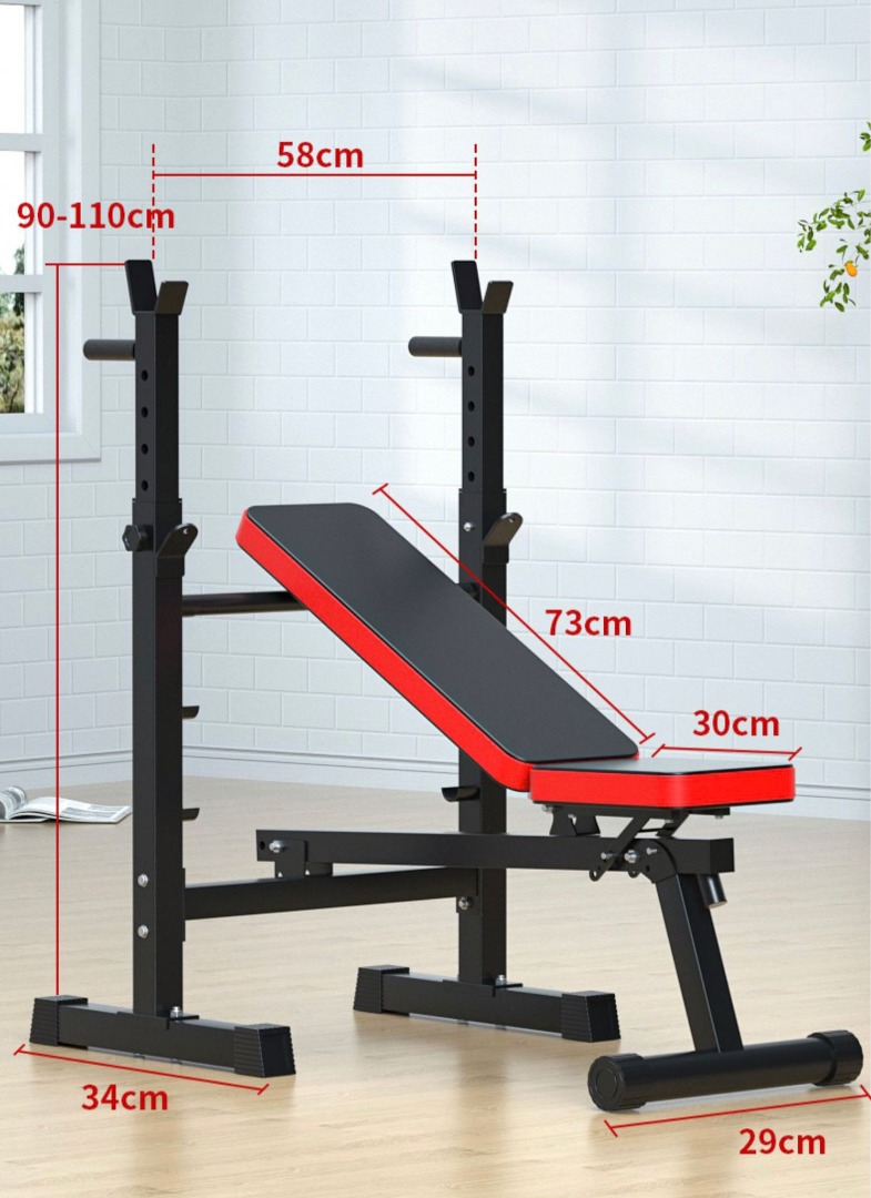 barbell & dumbbell,bench on Carousell