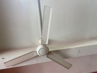 (Category: ) located in . Submitted by adeqfaseha (Listing ID 1183382007, Image 1). Description: .