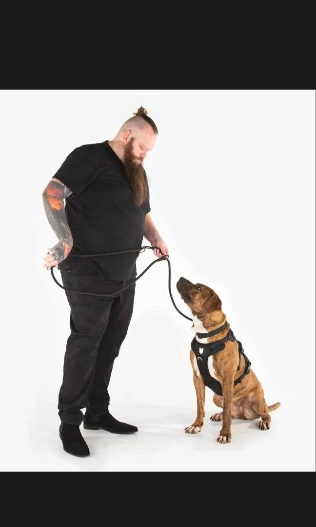 Fenrir Ragnar Harness & Training Leash, Pet Supplies, Homes & Other Pet Accessories on Carousell