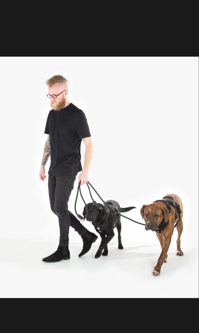 Fenrir Ragnar Harness & Training Leash, Pet Supplies, Homes & Other Pet Accessories on Carousell