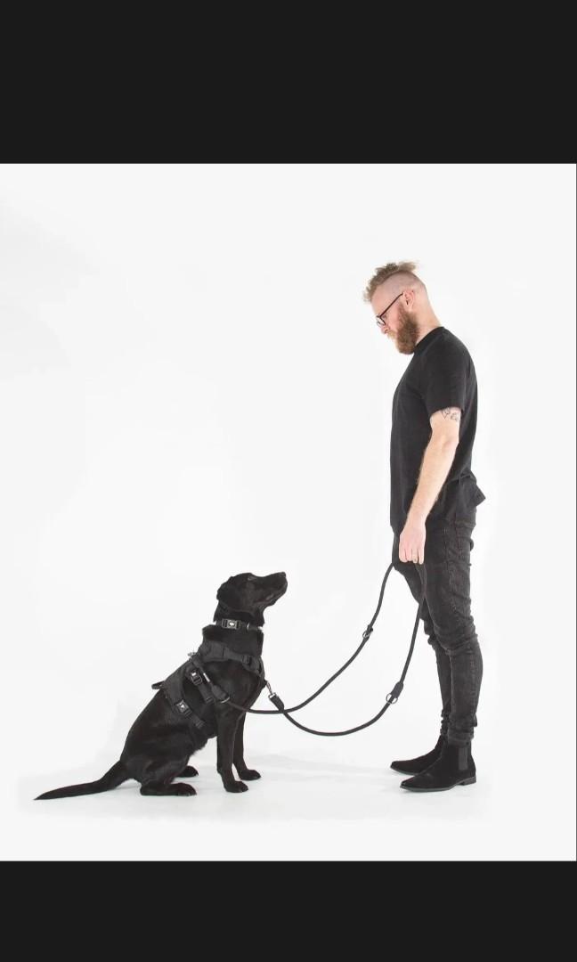 Fenrir Ragnar Harness & Training Leash, Pet Supplies, Homes & Other Pet