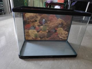 (Category: ) located in . Submitted by coco.nut.90 (Listing ID 1183423136, Image 1). Description: .