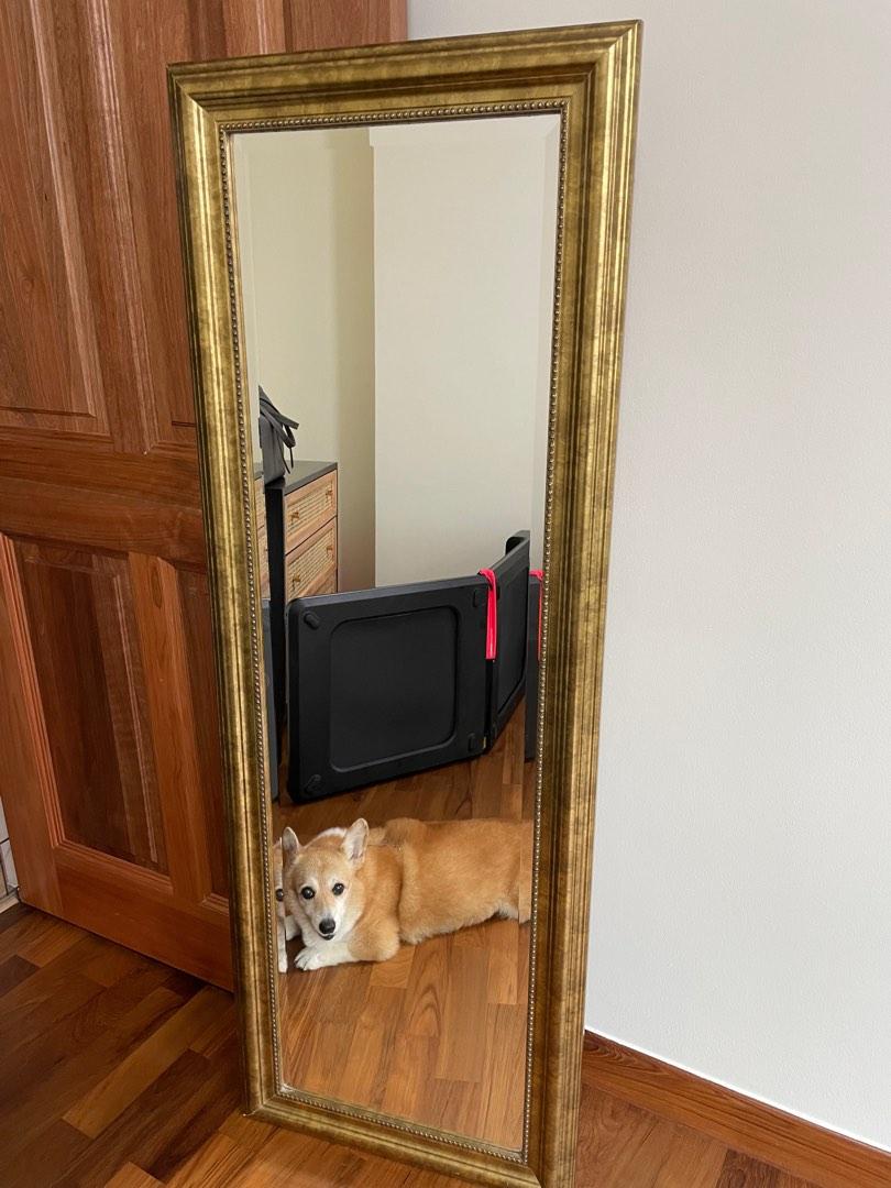 Full Length Mirror Gold Frame, Furniture & Home Living, Home Decor