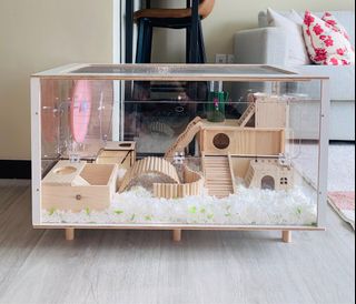 View of Hamster dwarf Syrian acrylic cage 60cm 80cm accessories decoration ...