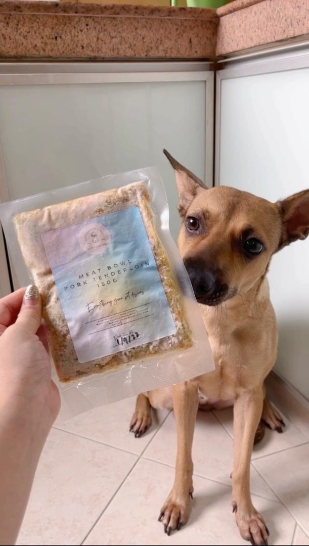 Home cooked dog food (Paws' Favourite), Pet Supplies, Pet Food on Carousell