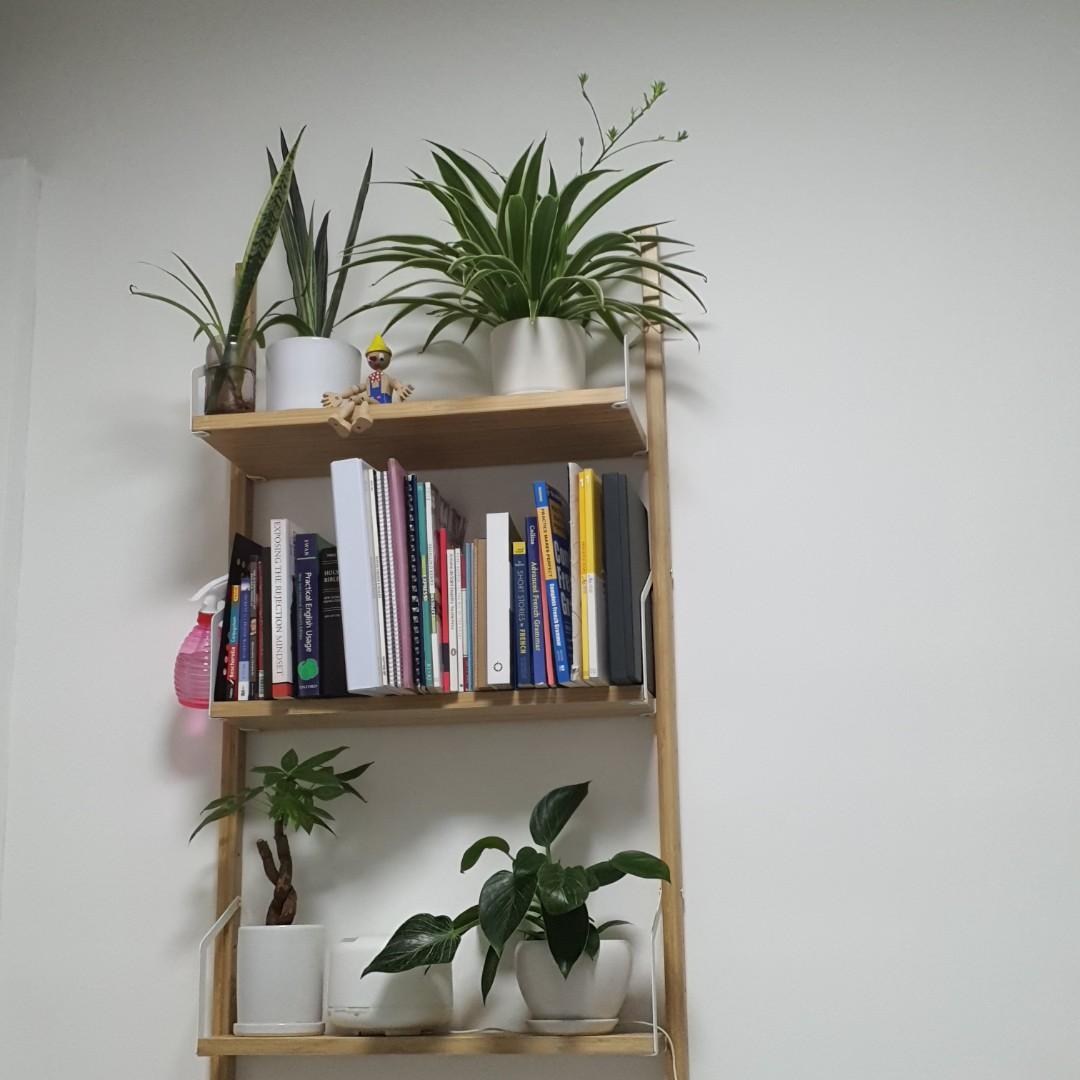 Ikea svalnas rack for sell, Furniture & Home Living, Furniture, Shelves