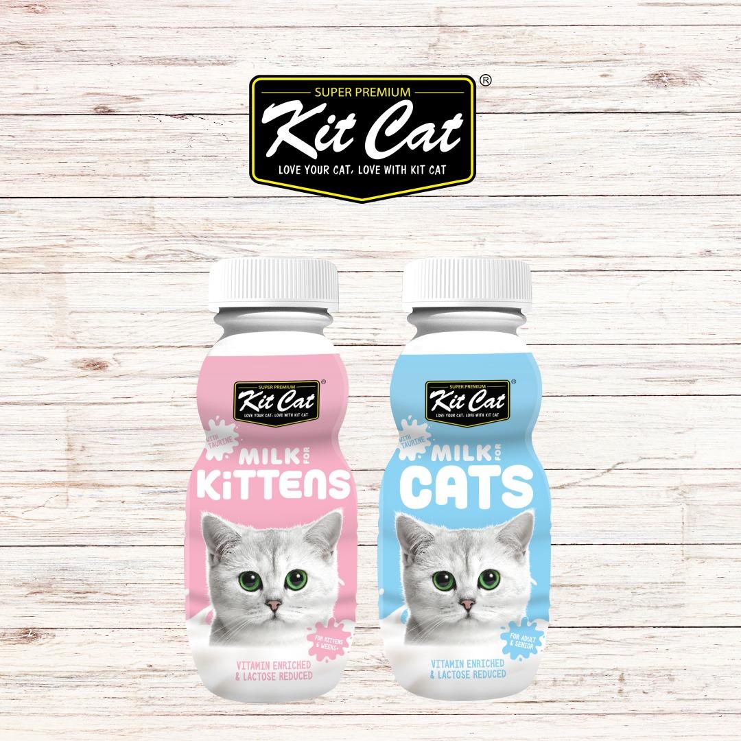 Senior cat milk sales
