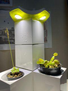 LeGrow Indoor planter