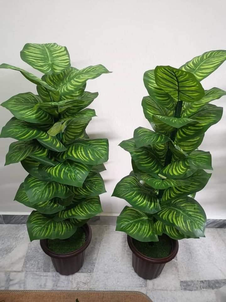 pokok hiasan murah, Furniture & Home Living, Home Decor, Other Home