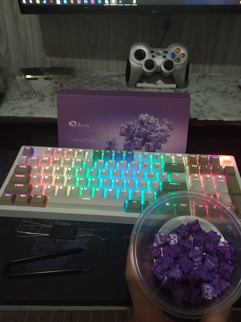 Rakk Ilis Mechanical Keyboard (Outemu Blue w/Akko Lavender purple