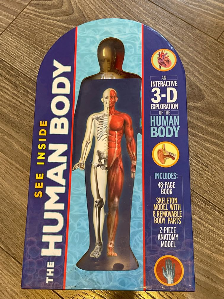 See Inside The Human Body 3D interaction Skeleton Mod with 8 removable ...