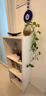 (Category: ) located in . Submitted by sarah1440 (Listing ID 1183359518, Image 1). Description: .