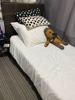 (Category: ) located in . Submitted by nheng (Listing ID 1133977971, Image 1). Description: .