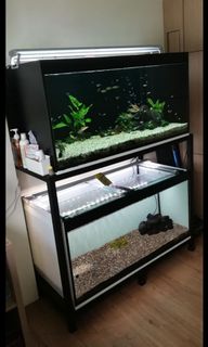 (Category: ) located in . Submitted by mailtojl (Listing ID 1183319016, Image 1). Description: .