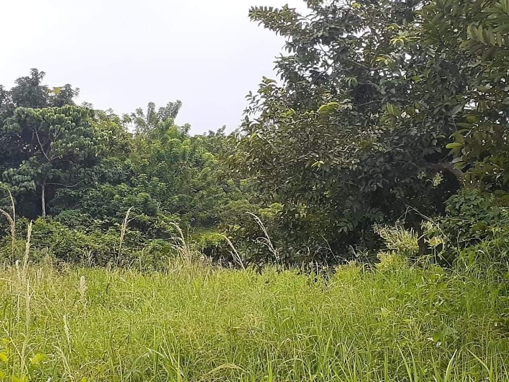 1,480sqm Agricultural Lot for sale in Tagaytay, Property, For Sale, Lot