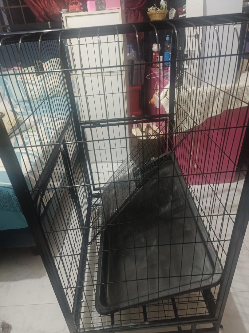 Cage For Bigger Size Animal, Pet Supplies, Homes & Other Pet