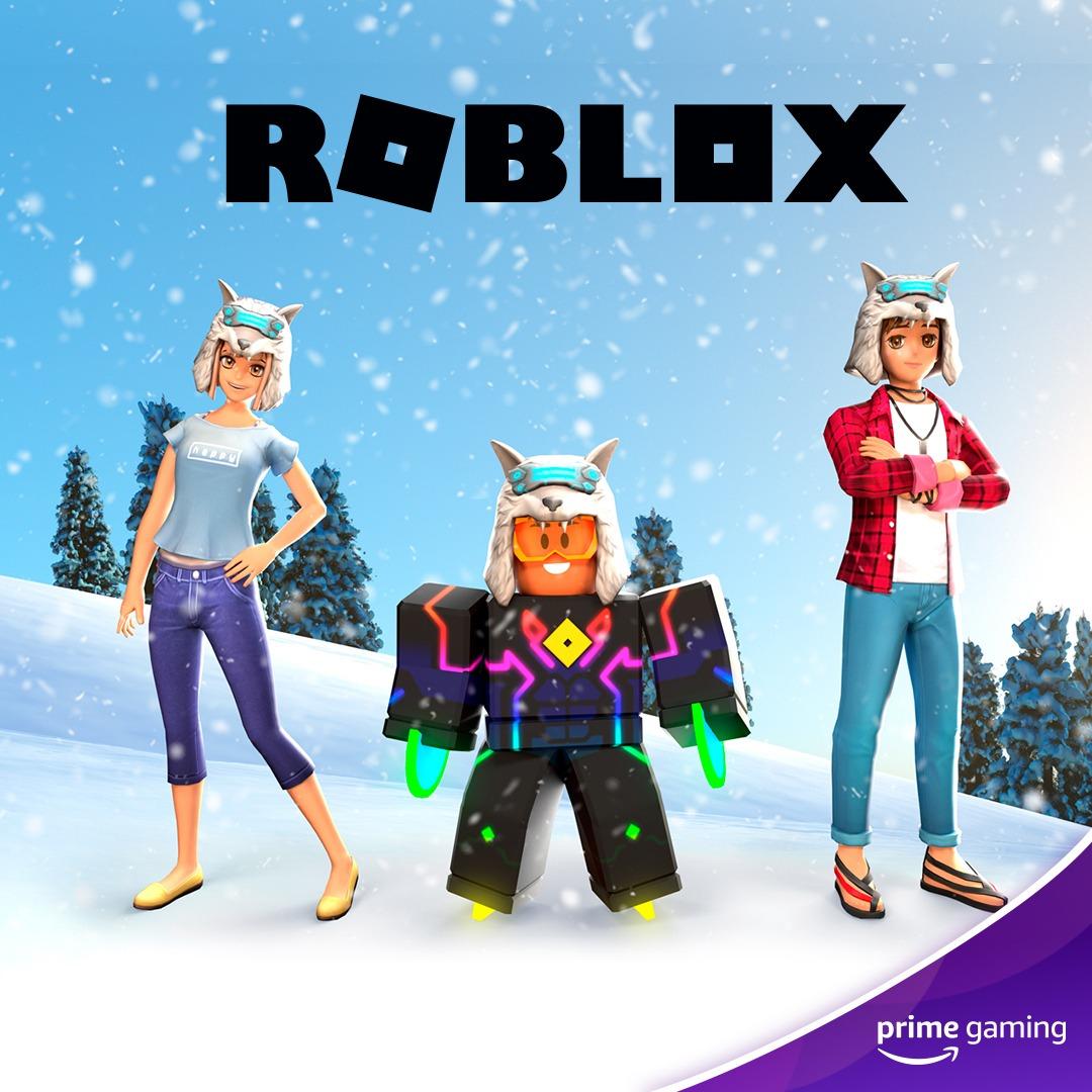 Code] Roblox Toy Loot Avatar Item Cyberpunk Wolf Hat, Video Gaming, Video  Games, Others on Carousell