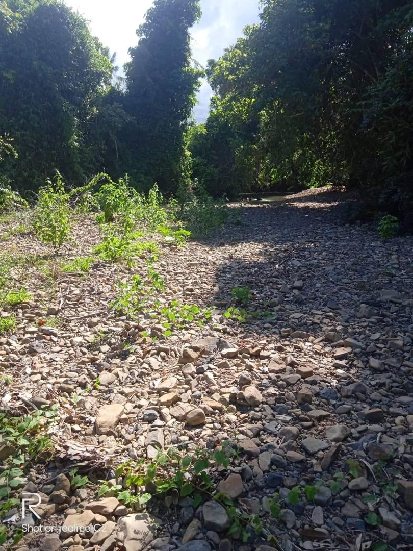 El Nido Agricultural Land, Property, For Sale, Lot on Carousell