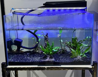 (Category: ) located in . Submitted by diahjali (Listing ID 1183628884, Image 1). Description: .