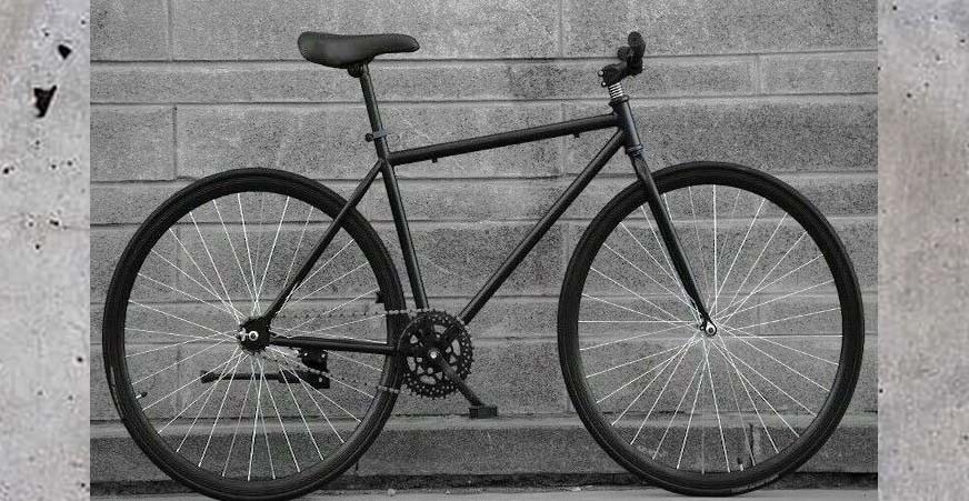 coaster brake fixie