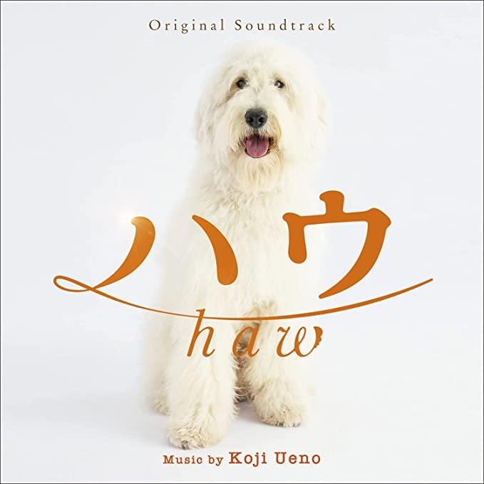 田中圭好狗不見了Haw 日本版OST CD 犬童一心上野耕路訂, 興趣及遊戲