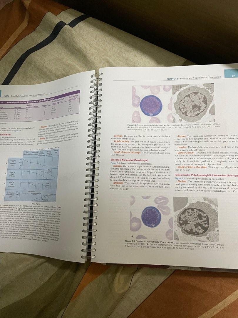 Lela Buckingham | Molecular Diagnostics (Category: Textbooks) located in Manila. Submitted by booksandreprint (Listing ID 1182772371, Image 3). Description: [REPRINTED; PRE-ORDER] -Other editions are also available -Size: A4 (Book Type) /A5 (Booklet) -Full-colored -No blurry pictures -Coil ring with front and back cover acetate NOTE: Pictures posted are sample pictures of reprinted books for proof that reprinted books are full-colored, all clear,