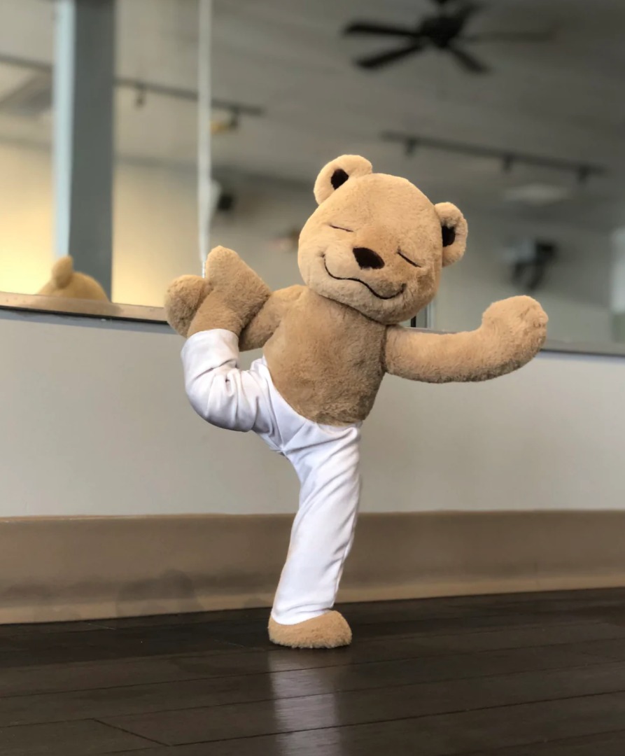 Meddy teddy online accessories