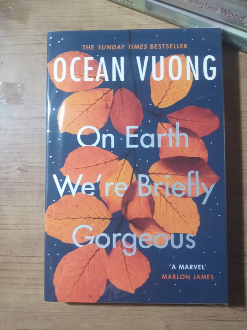 on-earth-we-re-briefly-gorgeous-by-ocean-voung-uk-edition-hobbies