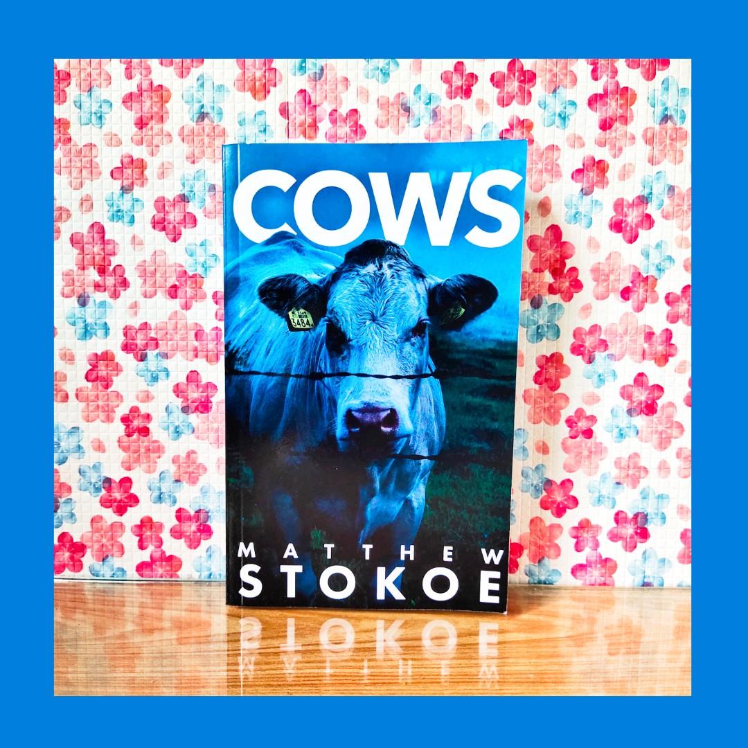 (PB) Cows by Matthew Stokoe, Hobbies & Toys, Books & Magazines, Fiction & NonFiction on Carousell
