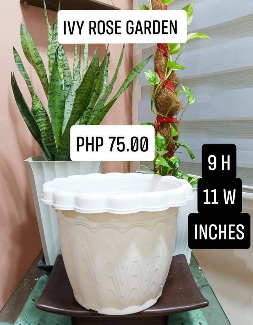 Plastic Pots by Ivy Rose Garden, Furniture & Home Living, Gardening